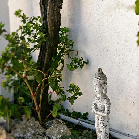 Manto Retreat In Nature Villa